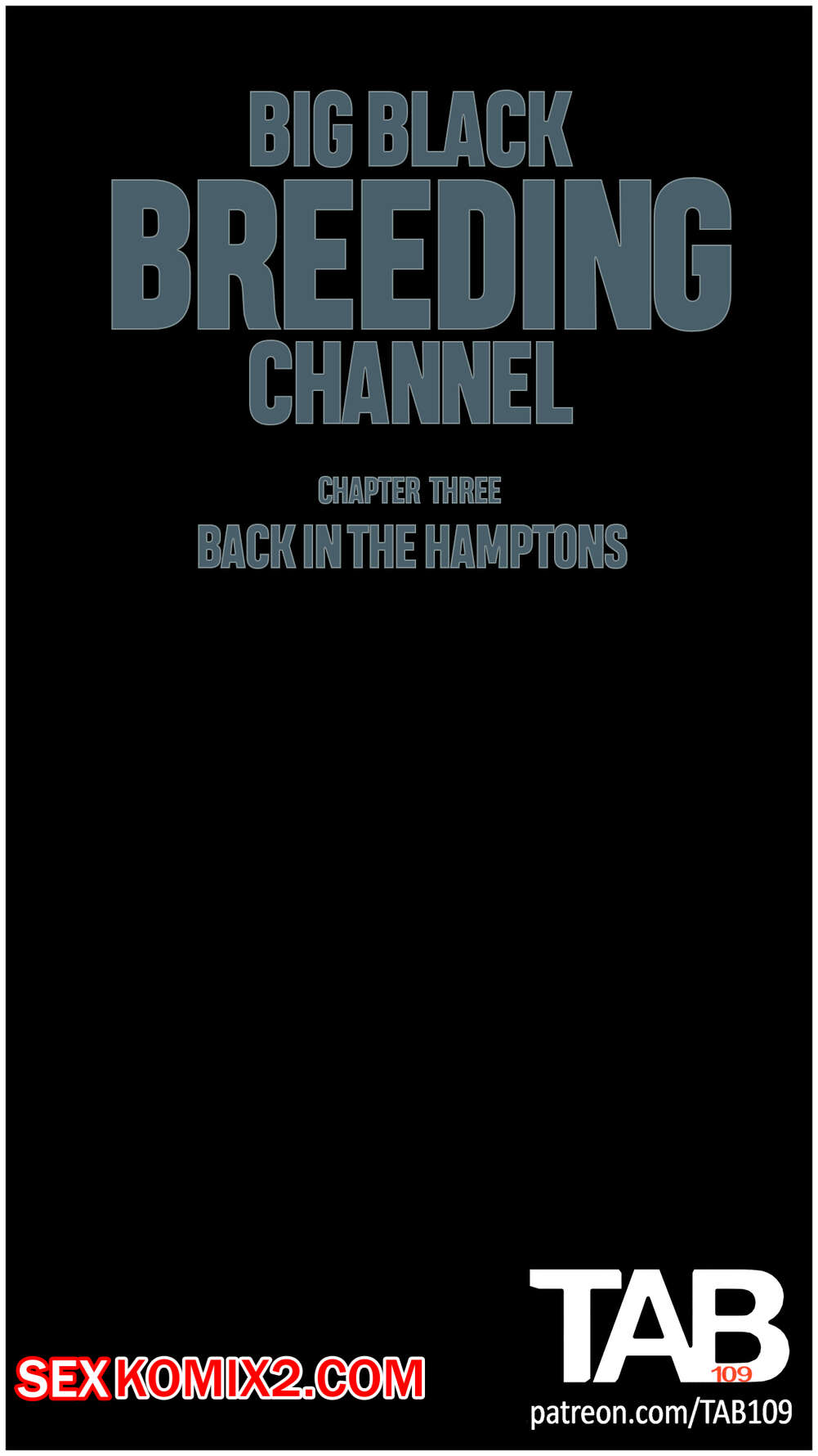 Порно комикс Большой черный канал разведения. Часть 3. Big Black Breeding Channel. TAB109.
