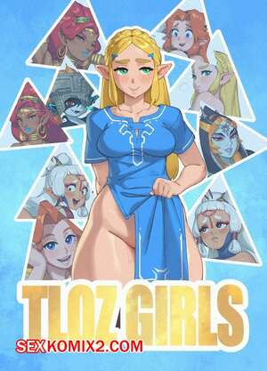 Порно комикс The Legend Of Zelda. Девушки из Зельды. Rizdraws